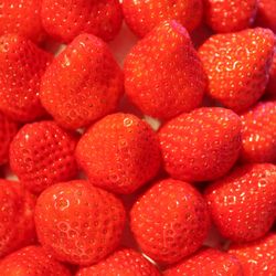 ウェスティンホテル大阪の写真15枚目