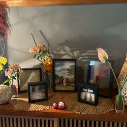 辻家庭園 の写真35枚目