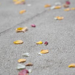 アンダーズ東京の写真25枚目