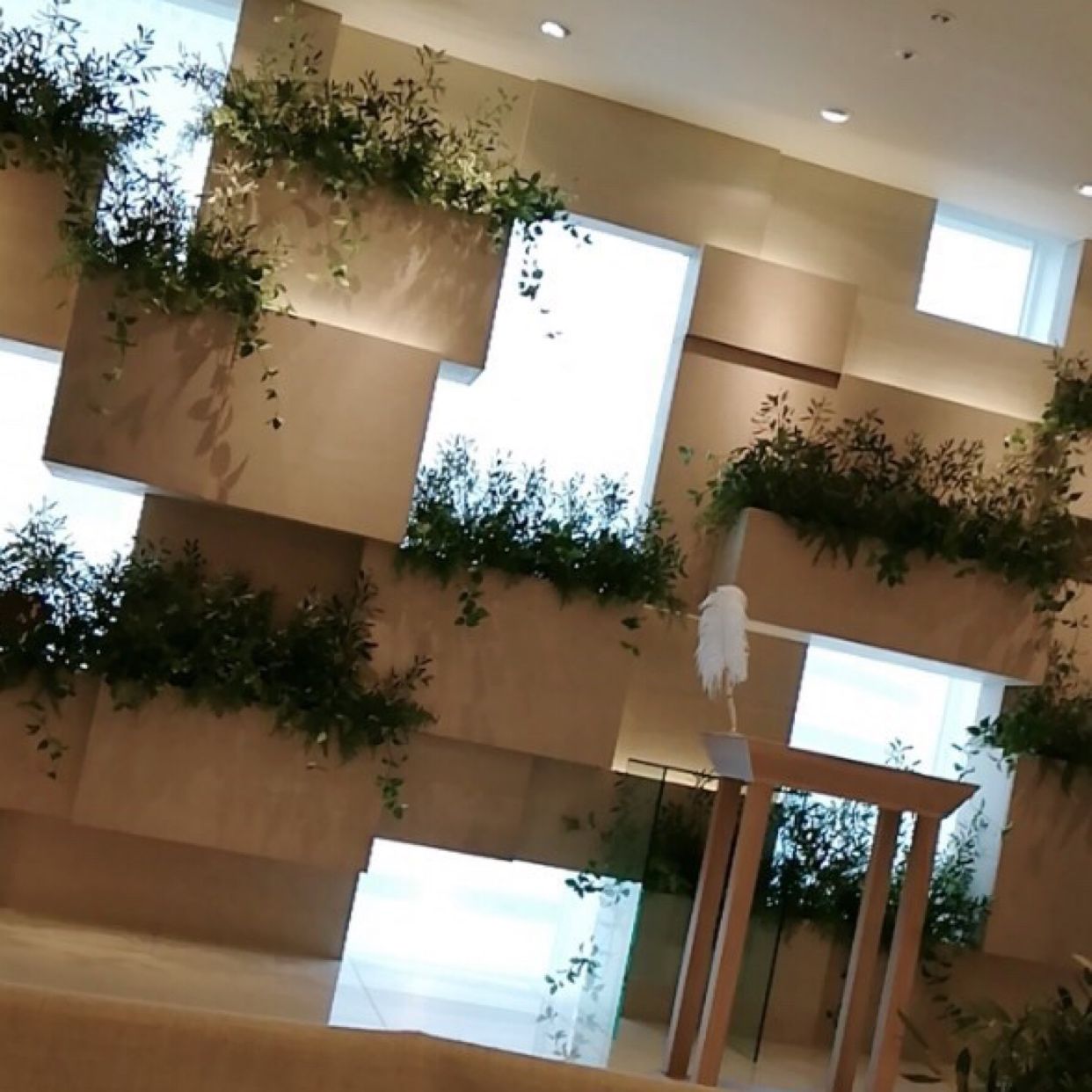 挙式のカバー写真