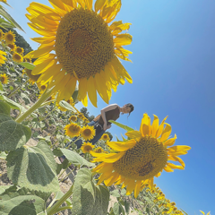 a.さんのアイコン画像