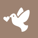 Kotomiさんのアイコン画像