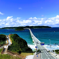 マリリンさんのアイコン画像