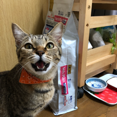 Nafuさんのアイコン画像