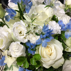 Kiho Arakiさんのアイコン画像