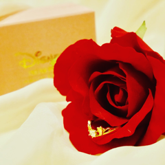 na＊さんのアイコン画像