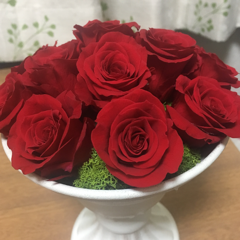 のぞみさんのアイコン画像