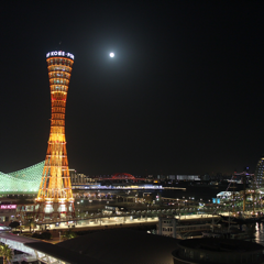 ゆりさんのアイコン画像