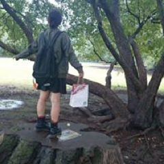 Natsumi Ishiiさんのアイコン画像