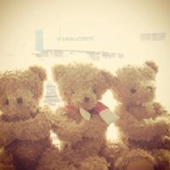 Megumi Yamazakiさんのアイコン画像