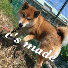 chiさんのアイコン画像