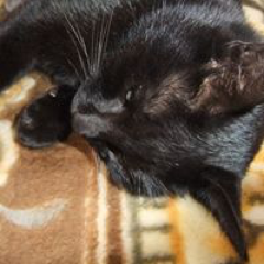 Hitomi Shironoさんのアイコン画像