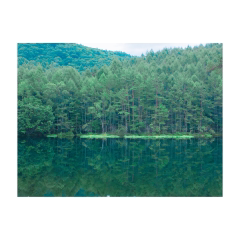 re_さんのアイコン画像