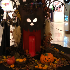 Satokoさんのアイコン画像