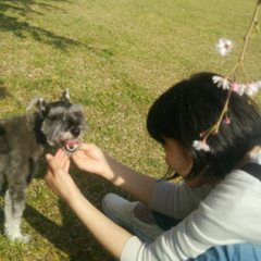 たあやさんのアイコン画像