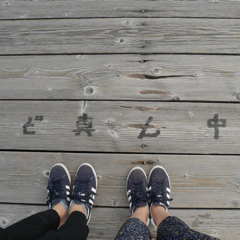 kakoさんのアイコン画像