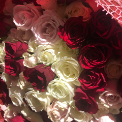 hikaruさんのアイコン画像