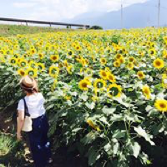 Ayumi Ehiraさんのアイコン画像