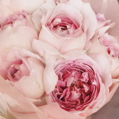 sayakaさんのアイコン画像