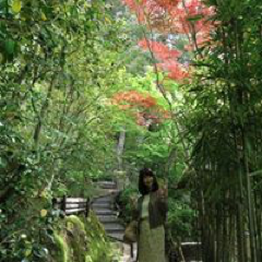 Yui Nagahoriさんのアイコン画像