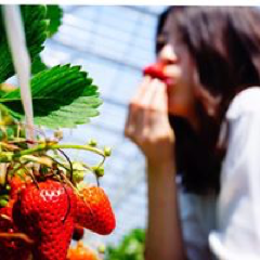 中村優希さんのアイコン画像