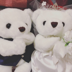 いぬこさんのアイコン画像