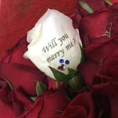 Rena  Yoshidaさんのアイコン画像