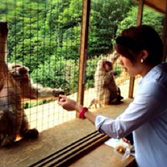 Sayako Yamamotoさんのアイコン画像