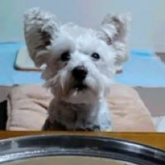 Asuka Funakiさんのアイコン画像