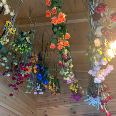 Ryochanさんのアイコン画像