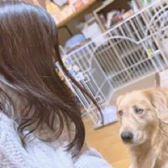 Manami Kambayashiさんのアイコン画像