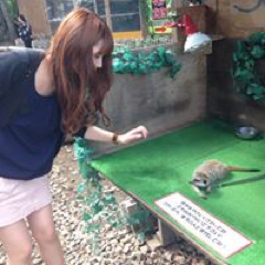 色摩美沙さんのアイコン画像