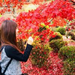 しぃちゃんさんのアイコン画像