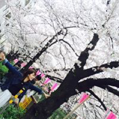 見谷 百映さんのアイコン画像