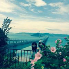 西薗 智恵さんのアイコン画像