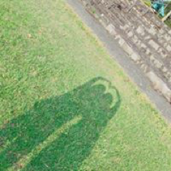 橋本 彩加さんのアイコン画像