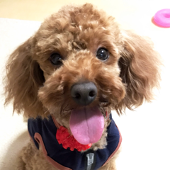 八木 麻理恵さんのアイコン画像