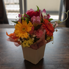 nzmさんのアイコン画像