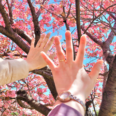 ぱんなさんのアイコン画像