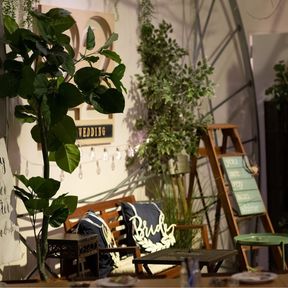 もともとグリーンがたくさんあるカフェなので、お花は飾りませんでした。そのままのイメージを崩さないような✧⁺⸜(●˙▾˙●)⸝⁺✧よわ、あつめました。