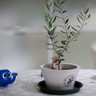 1m9_328_1y5さんの写真