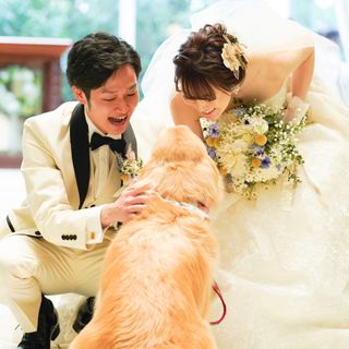 s0328_wdさんの写真