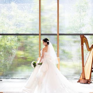 meggy_syd_tさんの写真