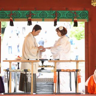 hinatan_chihuahuanさんの写真