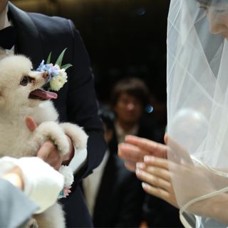 1111_weddingさんの写真