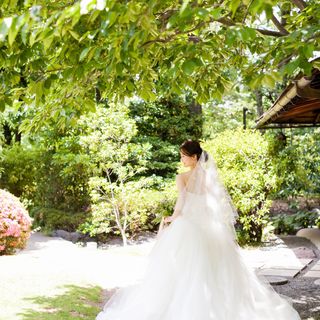 chenyanjie892019さんの写真