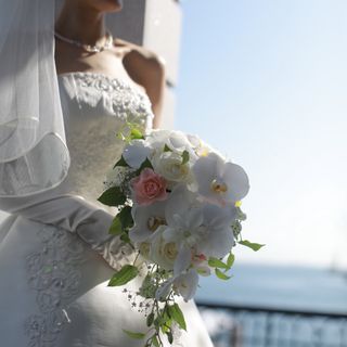 cs__wd.1115さんの写真