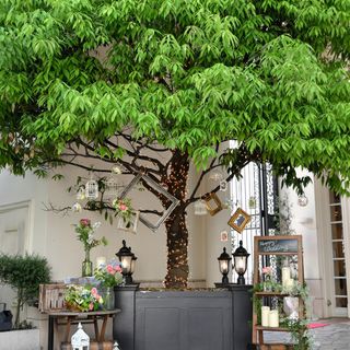 saya20190526さんの写真