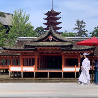 さゆりさんの写真