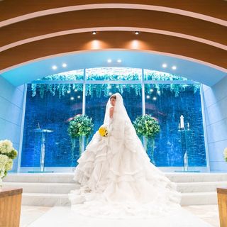 suuuumeloさんの写真